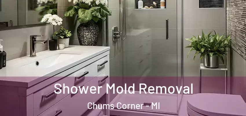  Shower Mold Removal Chums Corner - MI