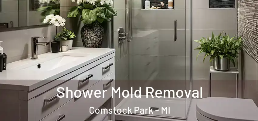  Shower Mold Removal Comstock Park - MI