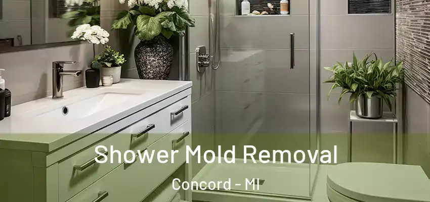  Shower Mold Removal Concord - MI