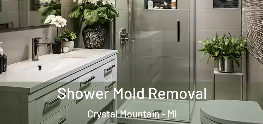  Shower Mold Removal Crystal Mountain - MI