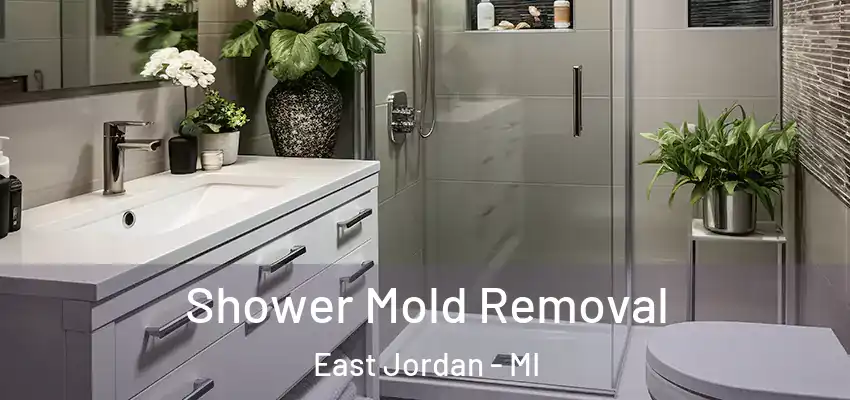  Shower Mold Removal East Jordan - MI