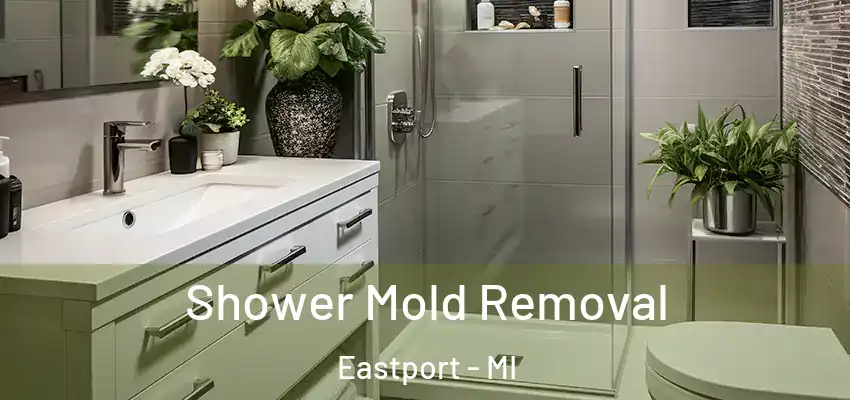 Shower Mold Removal Eastport - MI