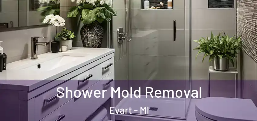  Shower Mold Removal Evart - MI