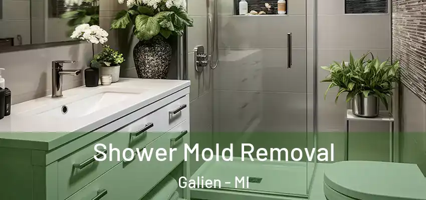  Shower Mold Removal Galien - MI