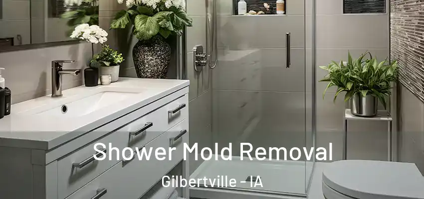  Shower Mold Removal Gilbertville - IA