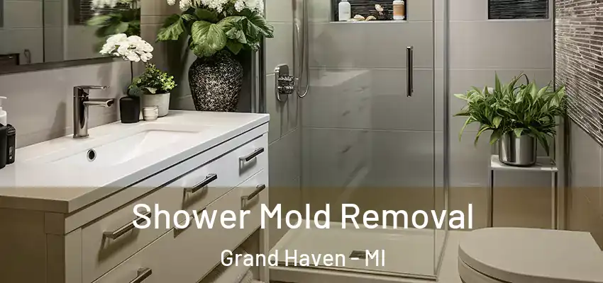  Shower Mold Removal Grand Haven - MI