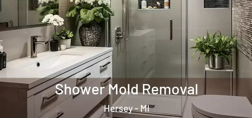  Shower Mold Removal Hersey - MI