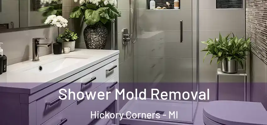  Shower Mold Removal Hickory Corners - MI