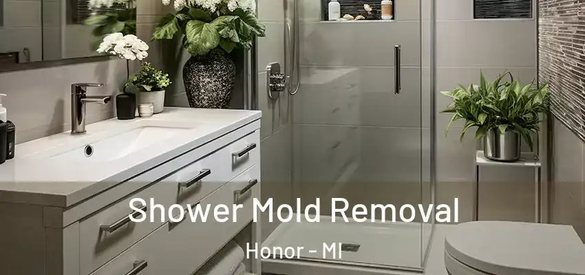 Shower Mold Removal Honor - MI