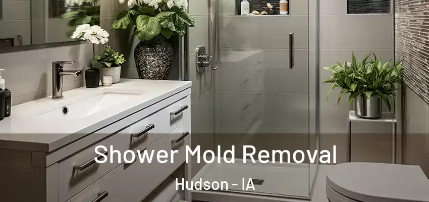  Shower Mold Removal Hudson - IA