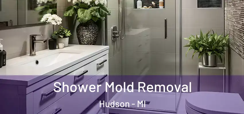 Shower Mold Removal Hudson - MI