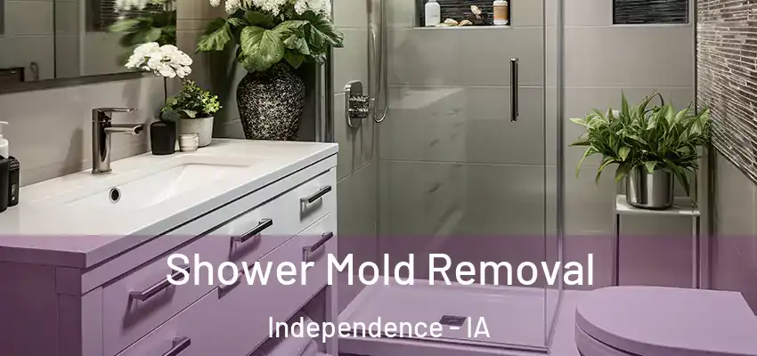  Shower Mold Removal Independence - IA