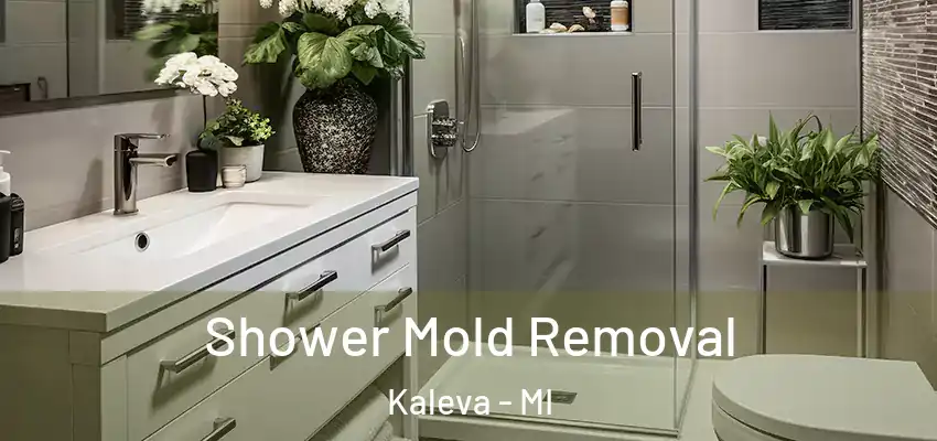 Shower Mold Removal Kaleva - MI