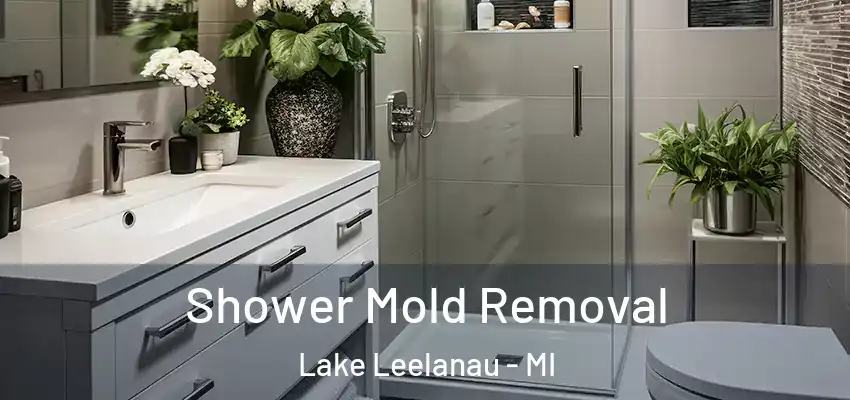  Shower Mold Removal Lake Leelanau - MI