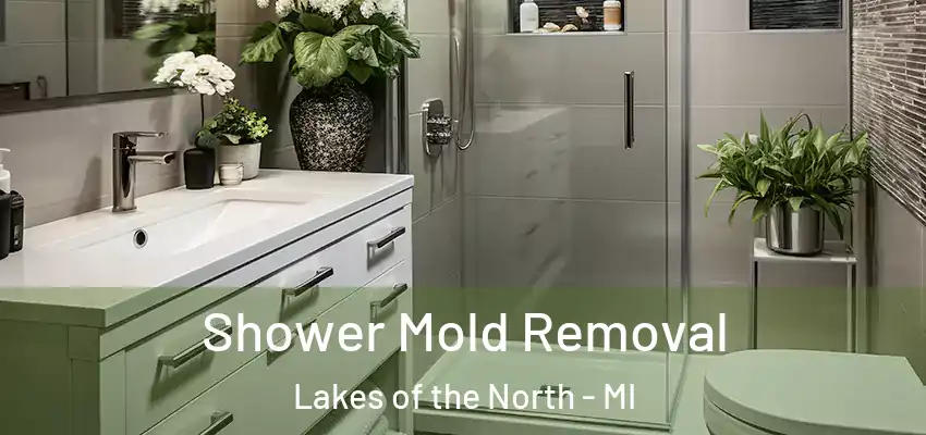  Shower Mold Removal Lakes of the North - MI