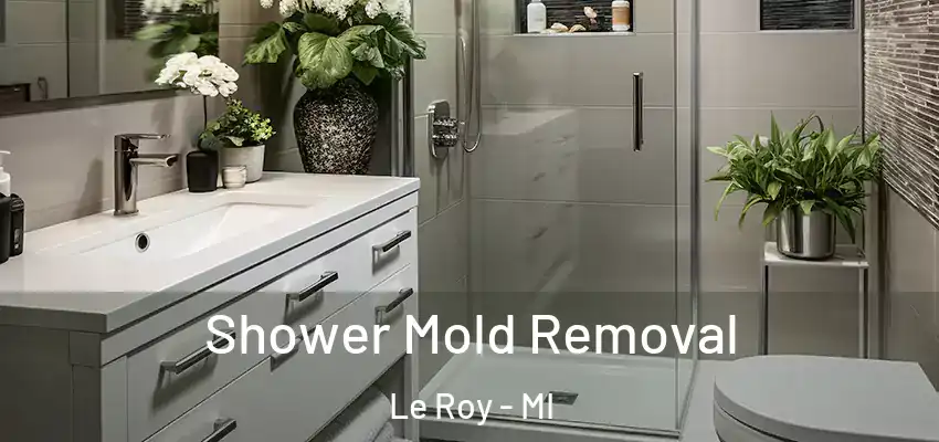 Shower Mold Removal Le Roy - MI