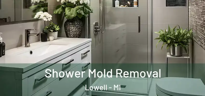 Shower Mold Removal Lowell - MI
