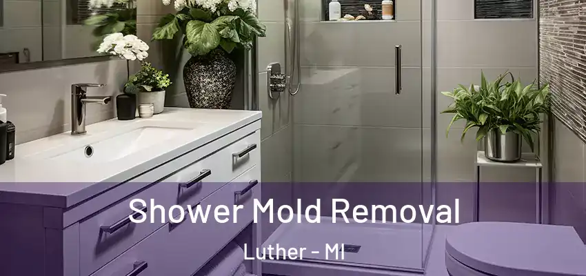  Shower Mold Removal Luther - MI