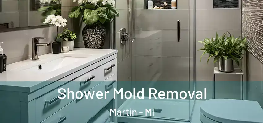  Shower Mold Removal Martin - MI