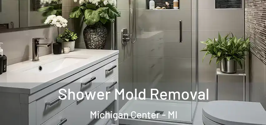 Shower Mold Removal Michigan Center - MI