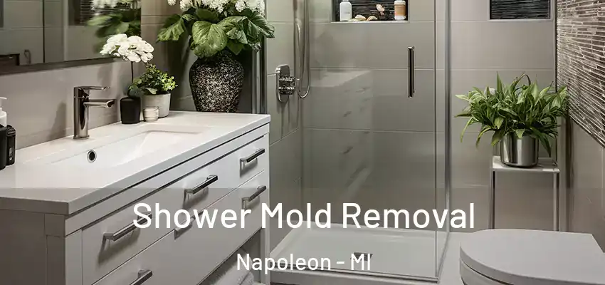 Shower Mold Removal Napoleon - MI