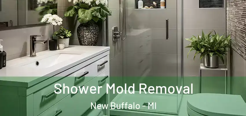  Shower Mold Removal New Buffalo - MI