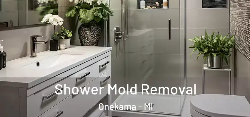 Shower Mold Removal Onekama - MI