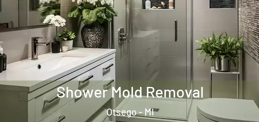  Shower Mold Removal Otsego - MI