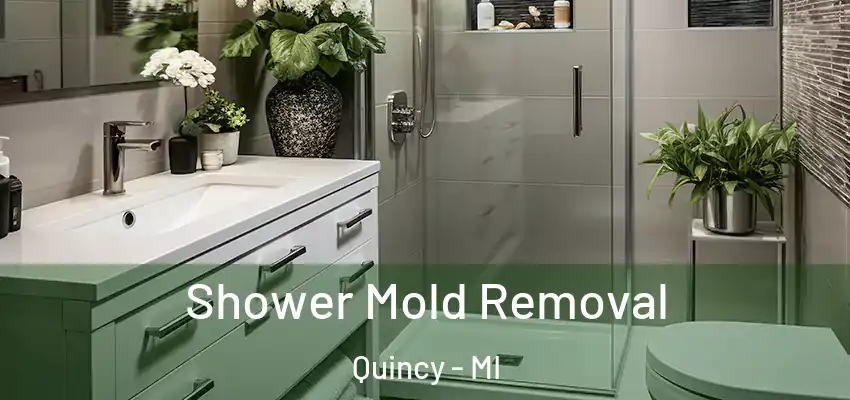  Shower Mold Removal Quincy - MI