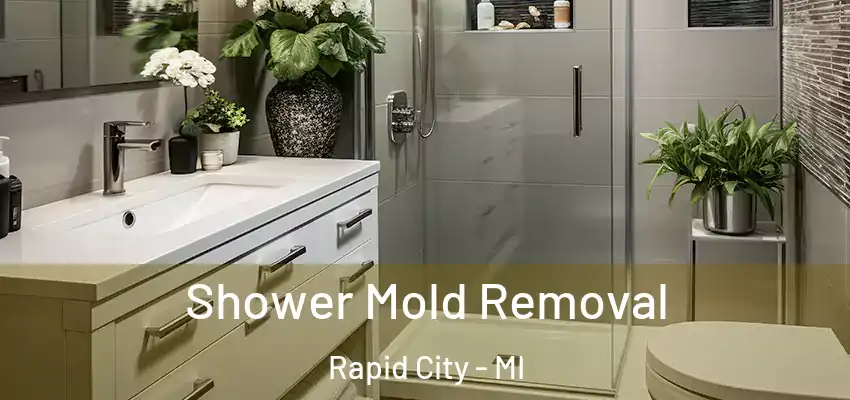  Shower Mold Removal Rapid City - MI