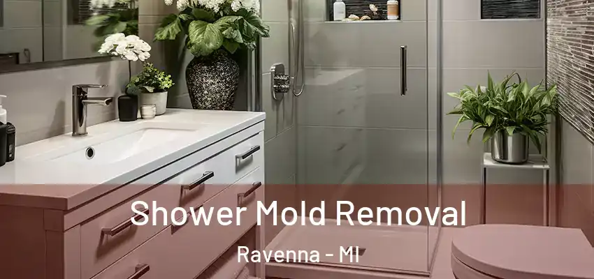  Shower Mold Removal Ravenna - MI