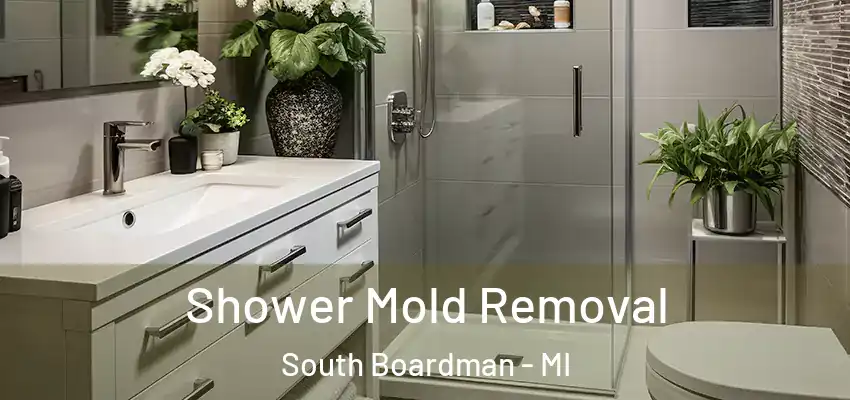  Shower Mold Removal South Boardman - MI