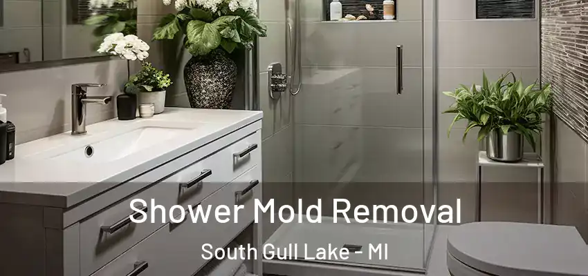 Shower Mold Removal South Gull Lake - MI