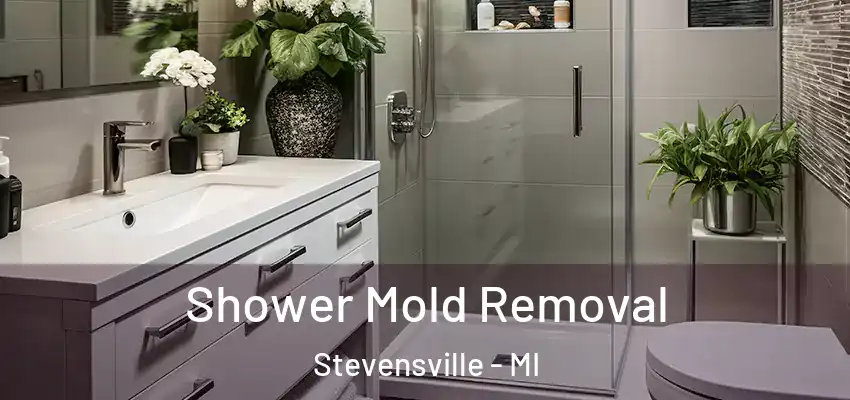  Shower Mold Removal Stevensville - MI