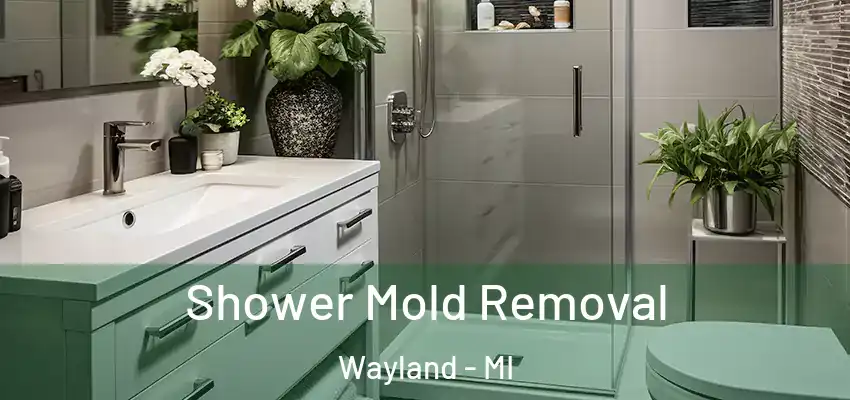  Shower Mold Removal Wayland - MI